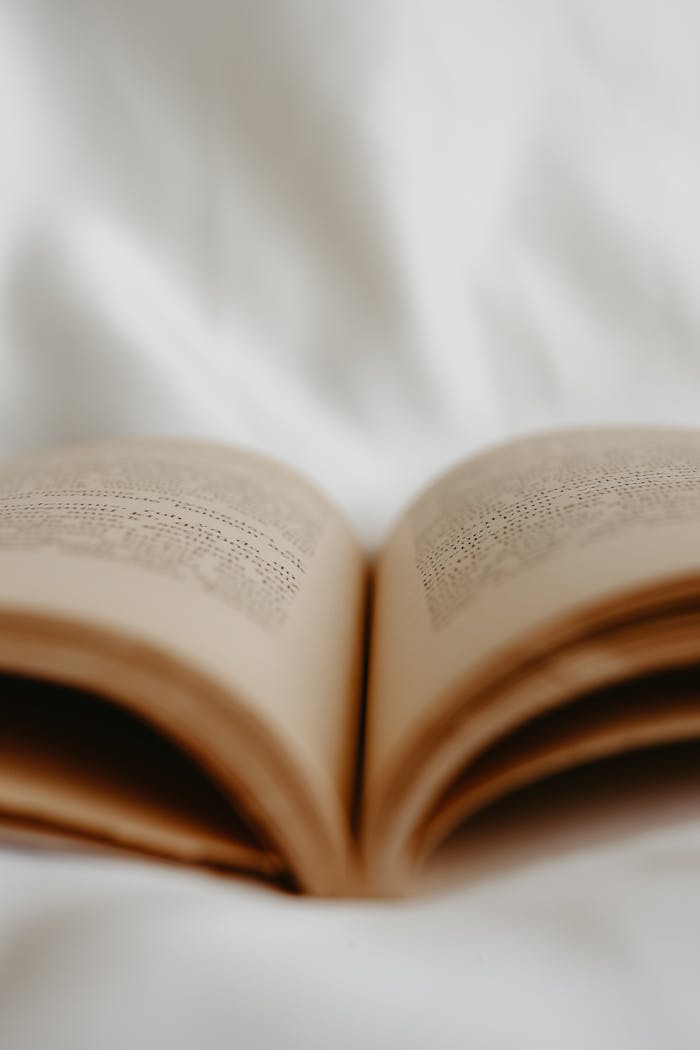 An open book with blurred text, set against a smooth white backdrop, conveying a tranquil reading scene.